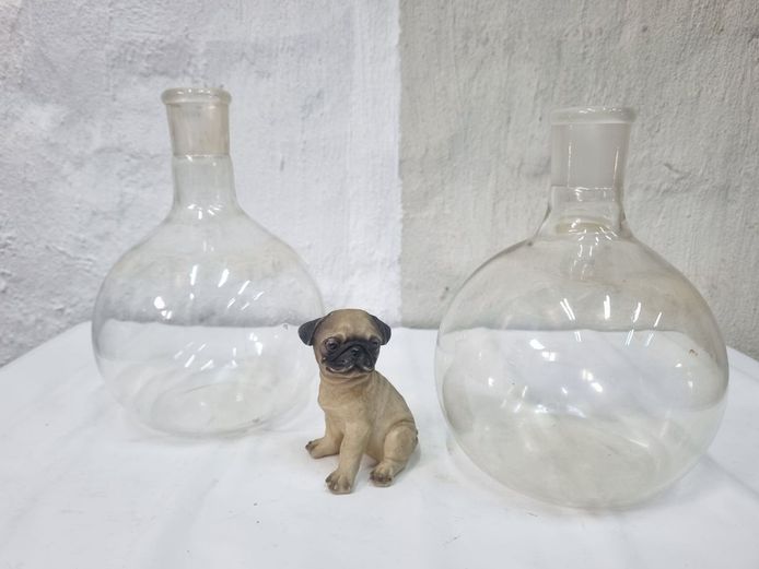 Pair of Antique Boiling Flasks with Pug Accent