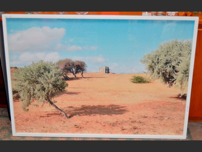 WHITE BOX FRAMED PHOTOGRAPH "LANDSCAPE", 118 x 80cm