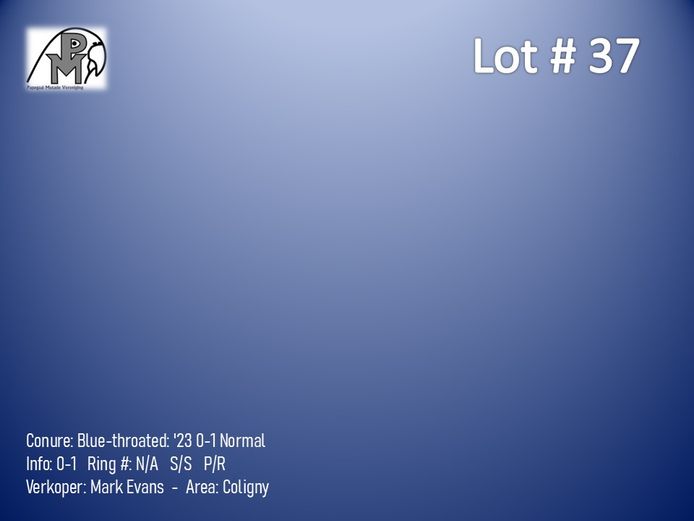 0-1 '23 Conure: Blue-throated: Normal - Mark Evans