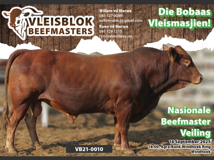 21-0010VB | VLEISBLOK BEEFMASTER