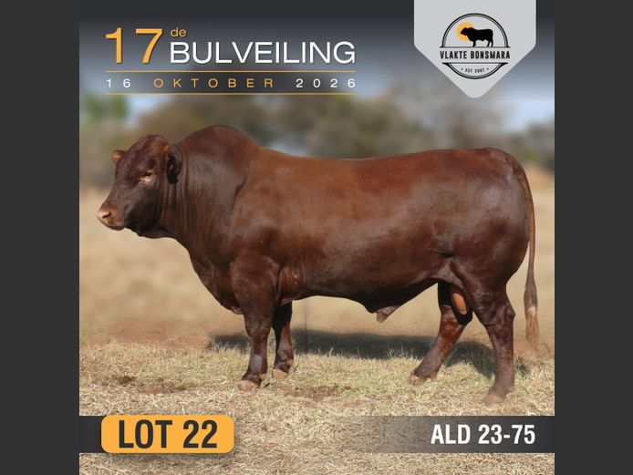 ALD230075 | ALDIGO BONSMARAS