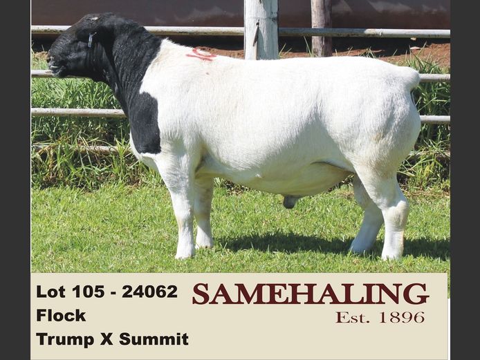 24062-330 | SAMEHALING DORPERS