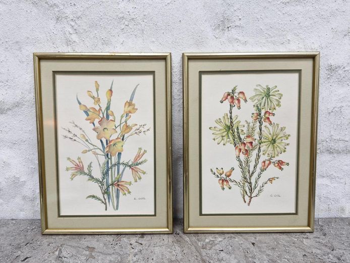 Pair of Framed Botanical Wildflower Watercolour Prints