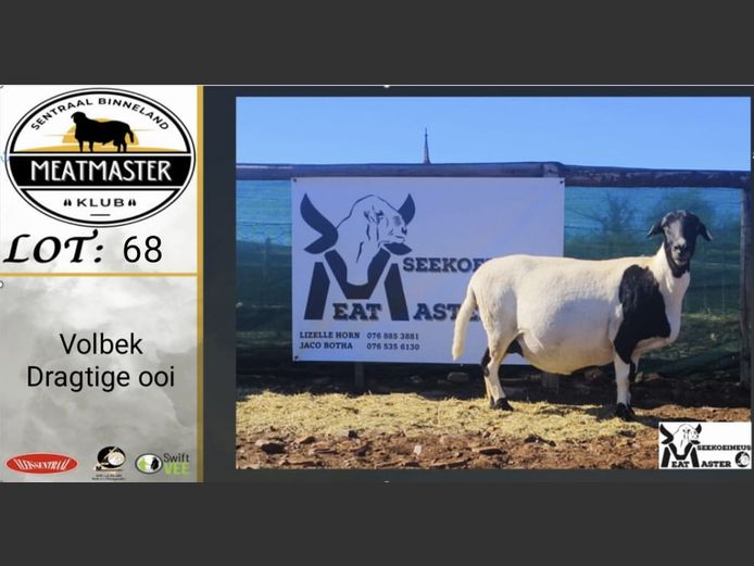 Ooi | Seeikoeineus Meatmasters