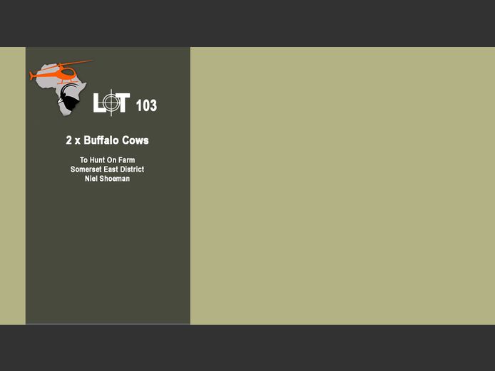Buffalo
