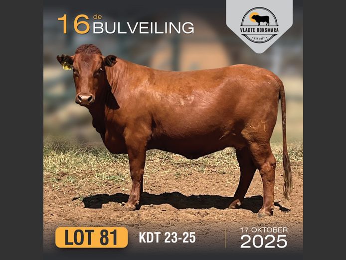 KDT 230025 | J.P.F. DU TOIT