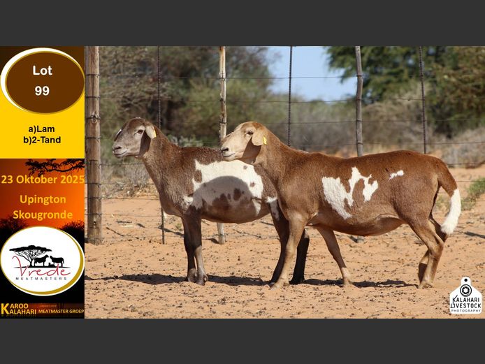 PS 99A | Peter & Christia Scholtz - Vrede Meatmasters