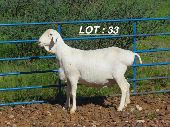 34 22 0110 | MNR. LOUIS VAN RENSBURG, H/A LEEUPUT TRUST