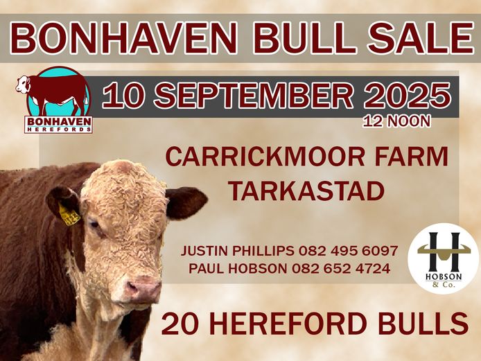 BONHAVEN HEREFORDS BULL SALE