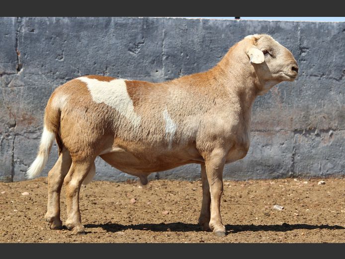 CRL 23.706 | HANRI TRUST