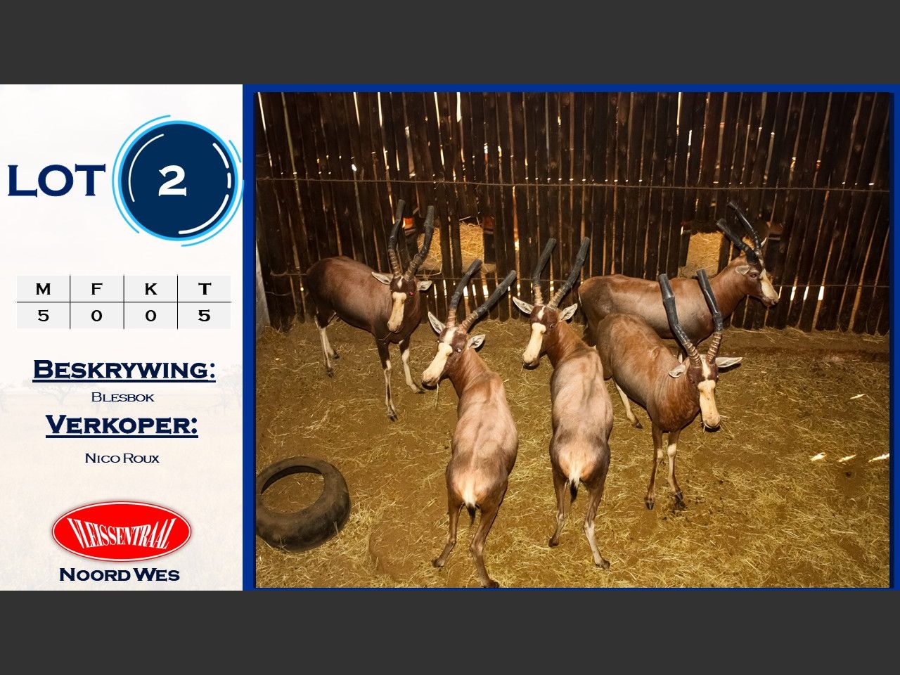 Lot 2 | NICO ROUX WILDVEILING | SwiftVEE | South Africa’s Leading ...