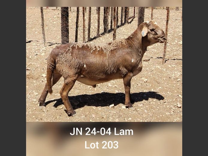 JN 24-04 | DRIEKOP MEATMASTERS