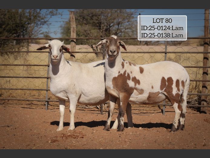 MAKKA LOUWRENS | 25-0124 