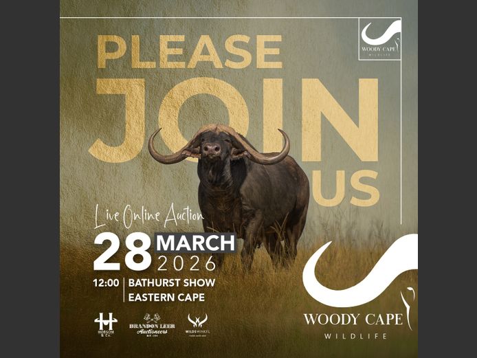 WOODY CAPE WILDLIFE AUCTION