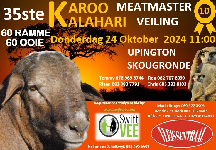 KALAHARI KAROO MEATMASTER 35STE PRODUKSIEVEILING SwiftVEE Livestock & Cattle cast Auctions