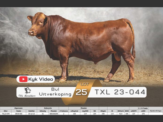 TXL23-044