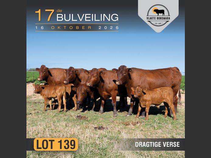 Commercial Animals | Kameeldoring Landgoed
