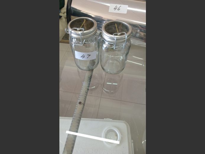Solar Lights
