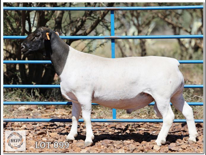 1643 24 0374 | C.C. VAN DEVENTER