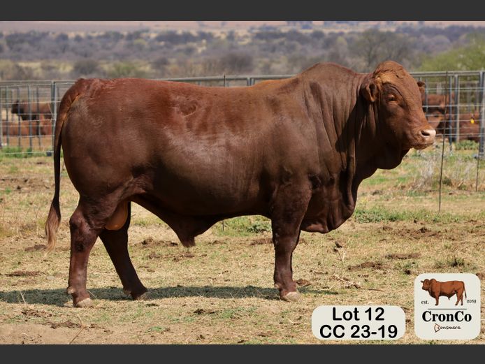 CC 230019 | CRONCO AGRI