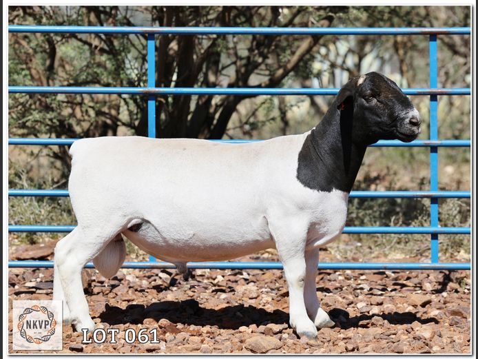 1643 24 0327 | C.C. VAN DEVENTER