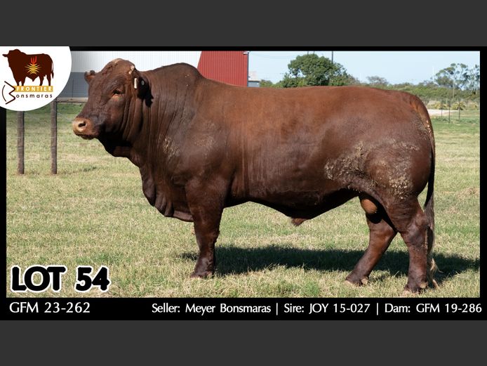 GFM 230262 | MEYER BONSMARAS