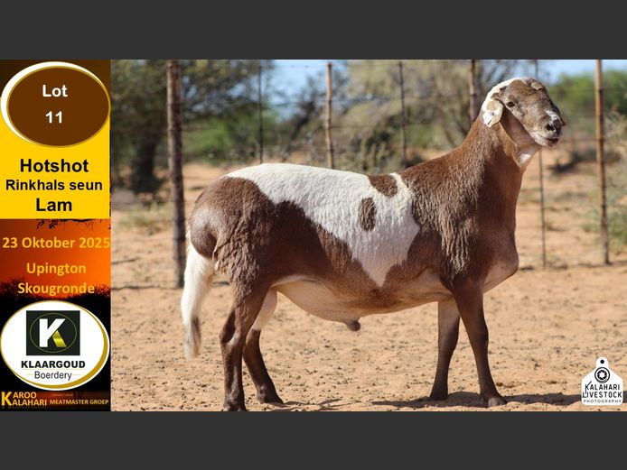 CP 11 | Chris Potgieter & Christia Scholtz - Klaargoud Boerdery