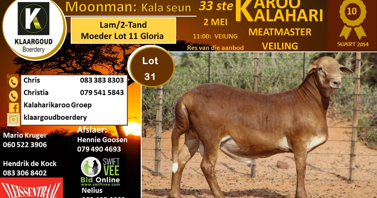 Lot 31 | 33STE KALAHARI KAROO MEATMASTER PRODUKSIEVEILING | SwiftVEE ...