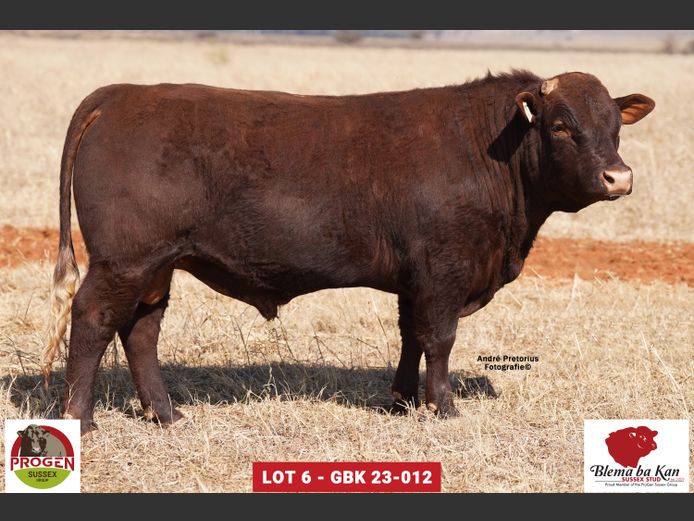 GBK 230012 | G.B. KEYSER