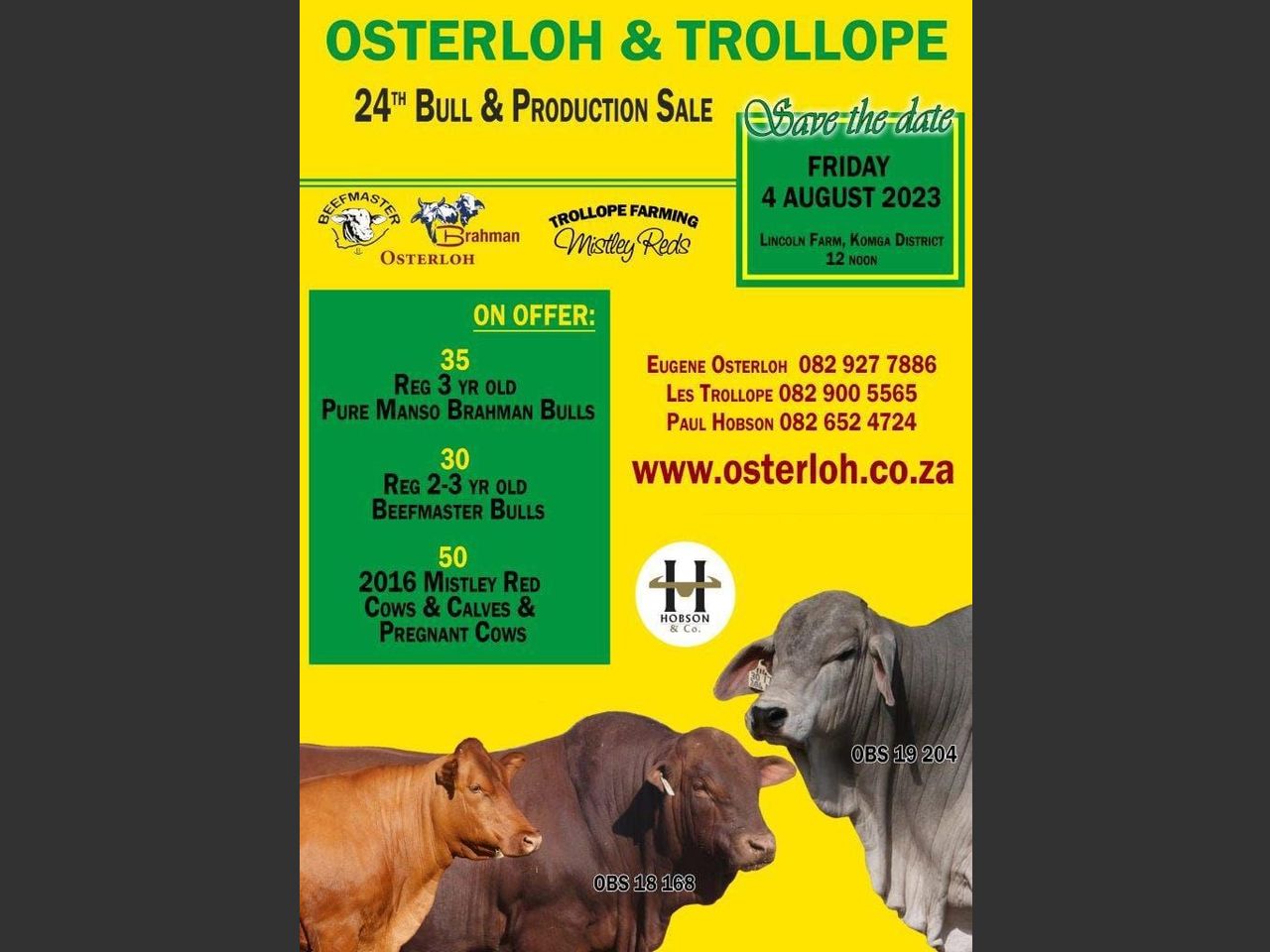 poster