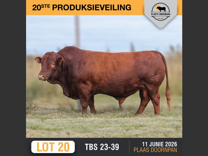 TBS230039 | THABA KWENA BONSMARAS