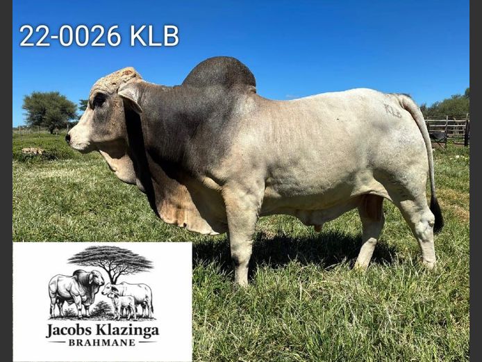 22-0026KLB | JACOBS KLAZINGA BRAHMANE