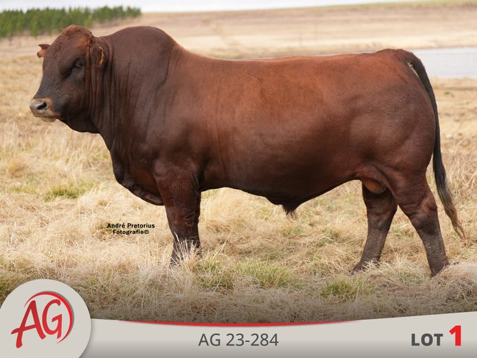 AG230284 | ARTHUR DE VILLIERS & SEUN