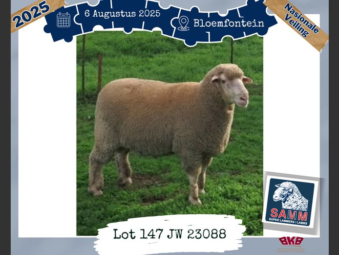 23-0088JW | HUGO WIEHAHN & SNS