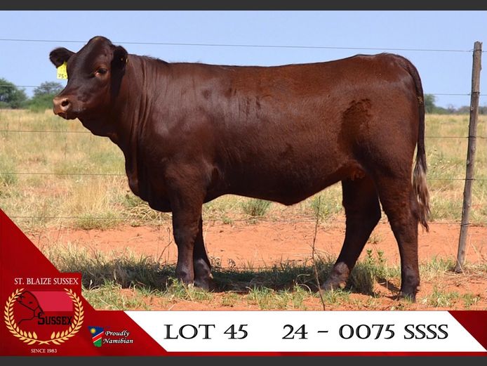 24-0075SSS | ST. BLAIZE SUSSEX