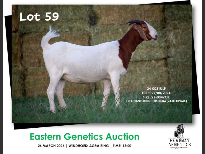 24-0031ULF | HEADWAY GENETICS