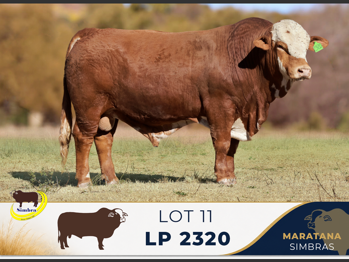 LP2320 | MARATANA BOERDERY (PTY) LTD