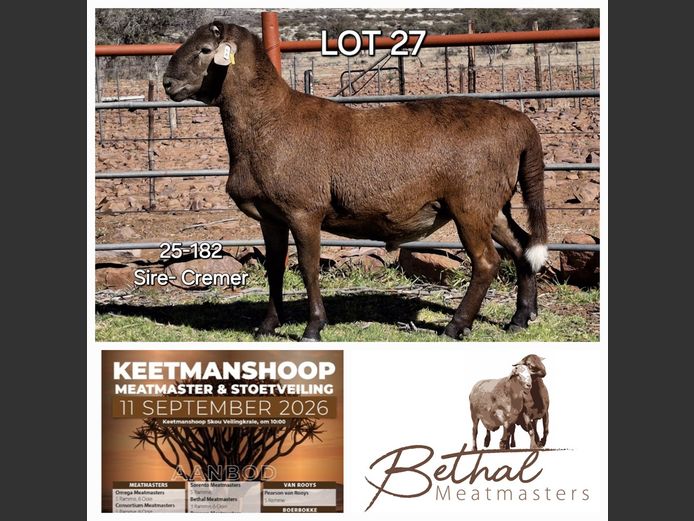 25-182 | Bethal Meatmasters