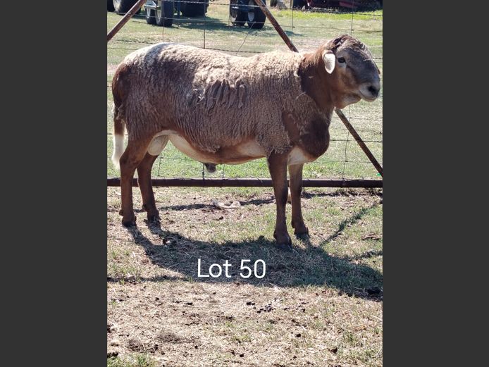 JAC 24-06 | Jacob's Share Meatmasters