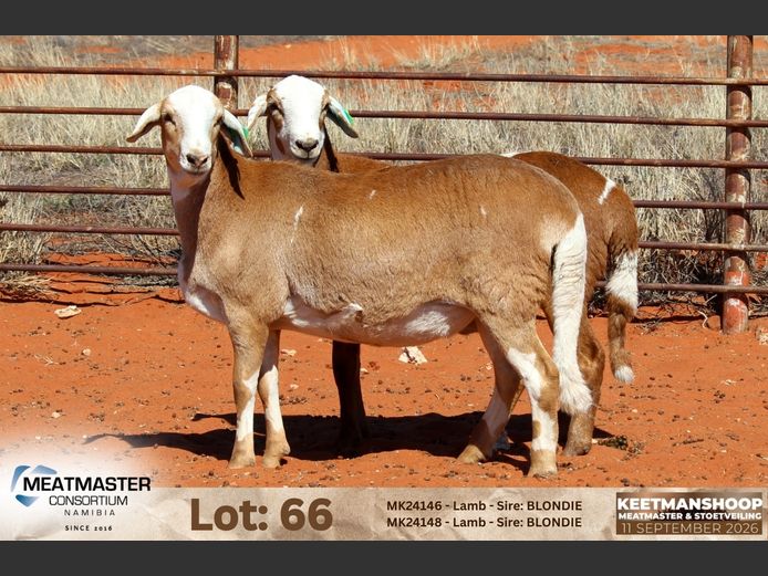 MK24146 | MK24148 | MEATMASTER CONSORTIUM