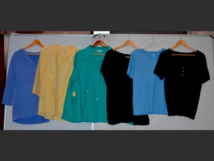 LOT OF 6 LADIES TOPS: L.L. BEAN, CONRAD C., etc [Sizes: L & XL]