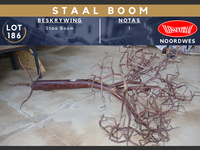 STAAL BOOM