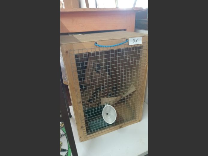 Pet Traveling Case