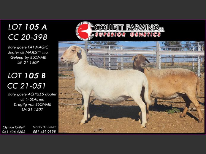 CC 210051 | COLLETT FARMING CC