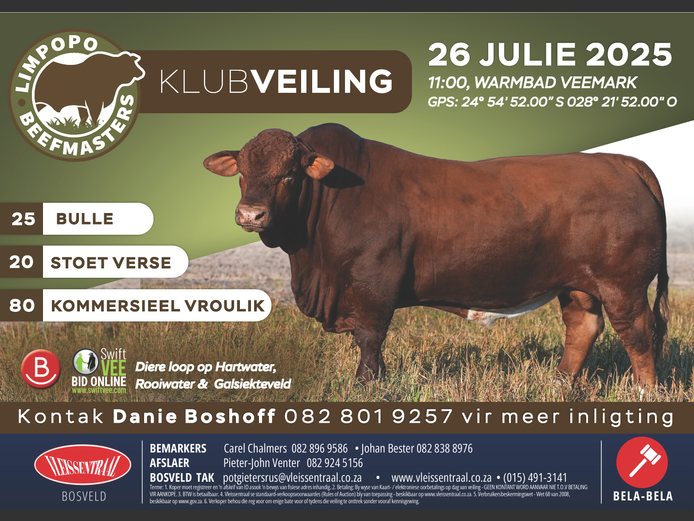 LIMPOPO BEEFMASTER KLUB VEILING | SwiftVEE | South Africa’s Leading ...