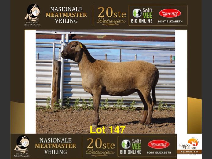 D 25.38 | Karoo Shalom Meatmasters