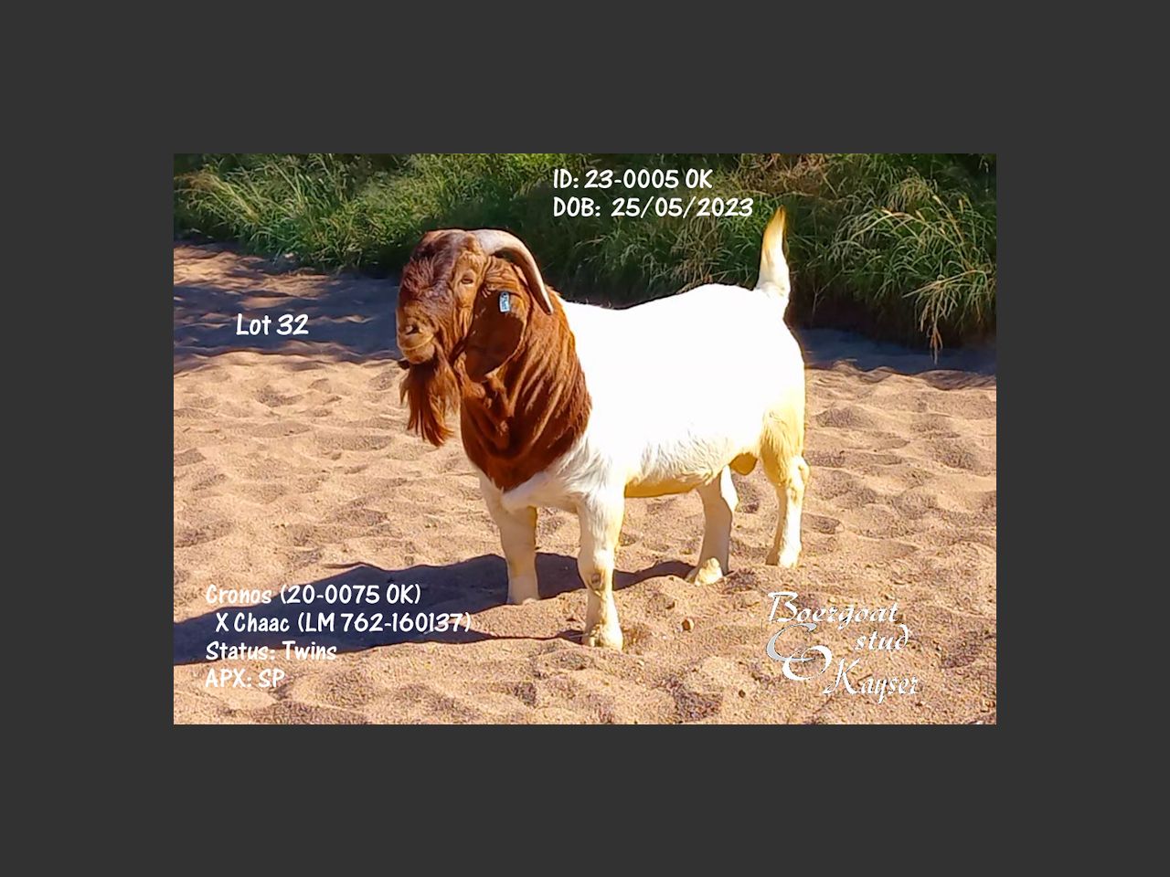 images
