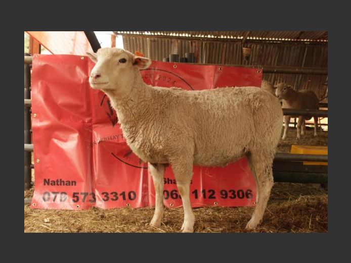 DO 240151 | UNDERHAY TRUST