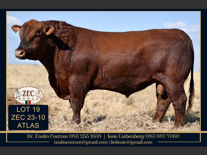 ZEC 230010 | Z.E. COETZEE