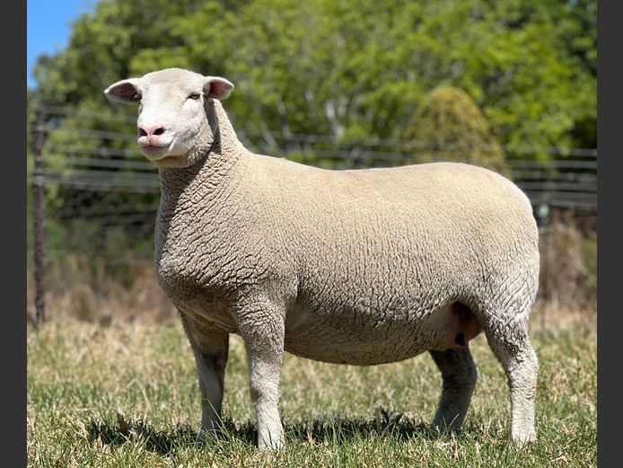 JB 230053 | J.A. BARNARD